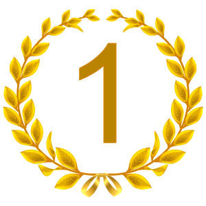 Rating icon