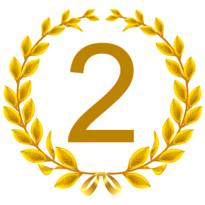 Rating icon