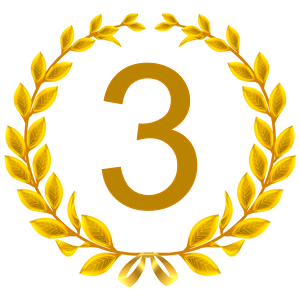 Rating icon