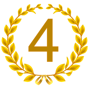 Rating icon