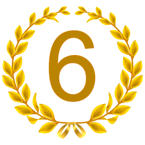 Rating icon