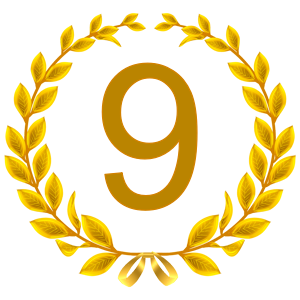 Rating icon