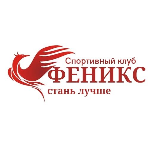 Organization logo Феникс 3